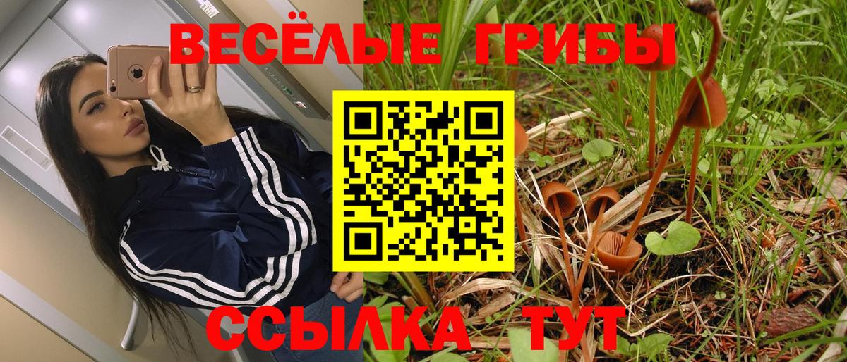 Галлюциногенные грибы прущие грибы  Вход с VPN  Тула  Галлюциногенные грибы MAGIC MUSHROOMS 